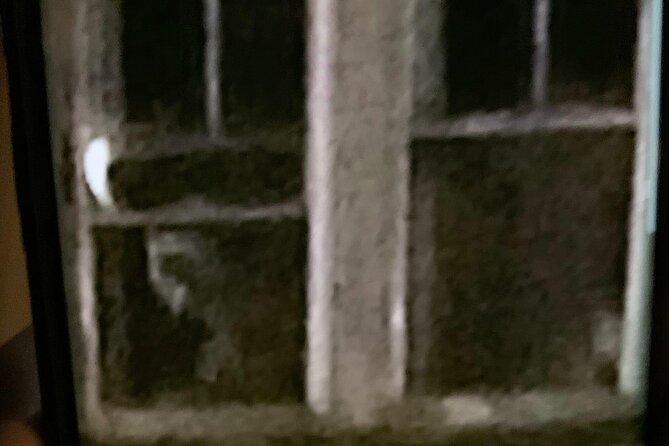 A Ghost Hunting Tour Specters and Apparitions in Salem - Testing equipment beside Howard Street Cemetery