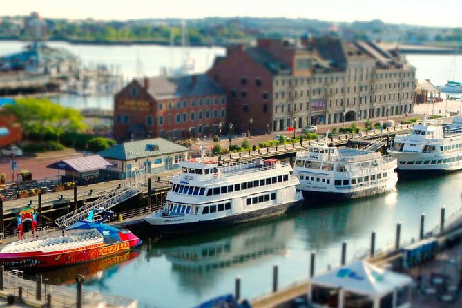 Best Of Boston: Harvard, MIT, Harbor Cruise Small Group Day Trip - What the guides add to the day