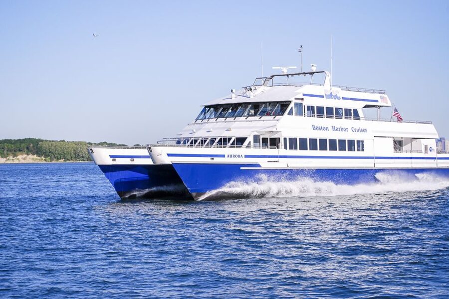 Boston: City Cruises Whale Watching Cruise - Key points to know before you book