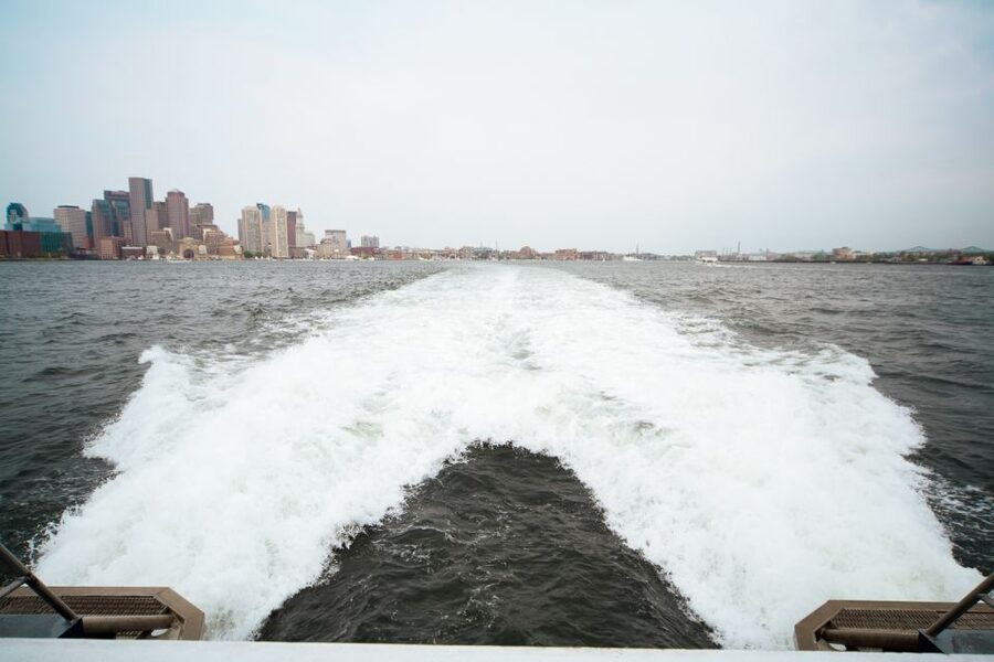 Boston: City Cruises Whale Watching Cruise - Meet humpbacks, fin whales, and minkes