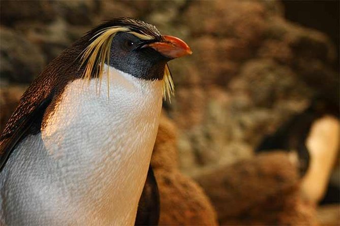 Boston CityPASS® - Harvard Museum of Natural History and the Peabody Museum