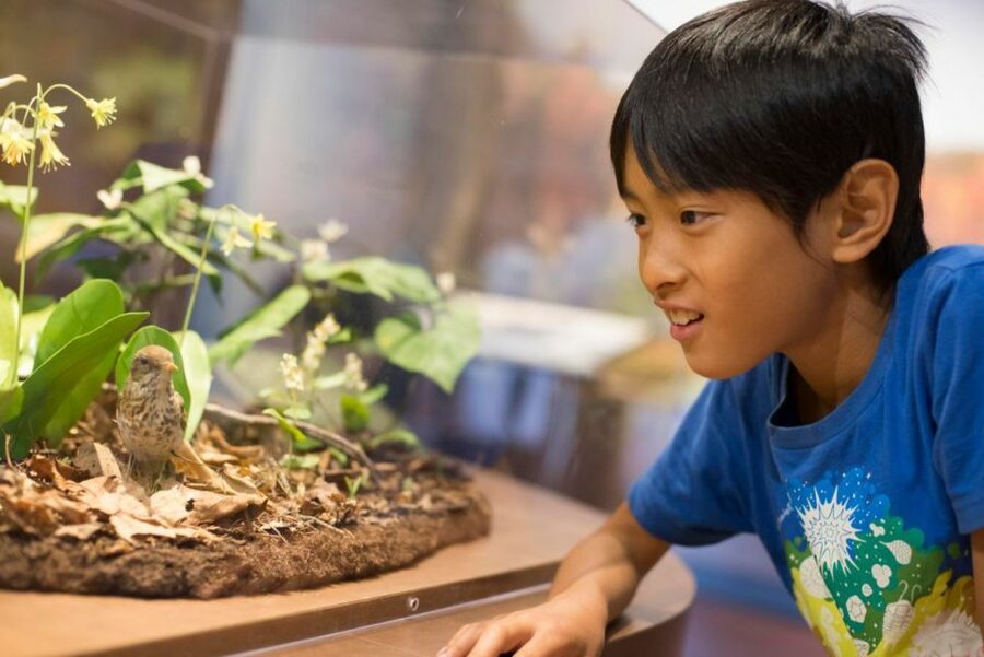 Boston CityPASS®: Save up to 46% at 4 Top Attractions - Who Will Get the Most From This Pass