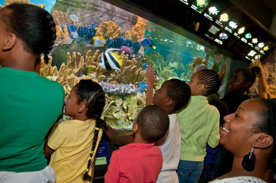 Boston CityPASS®: Save up to 46% at 4 Top Attractions - Building the Best Four-Attraction Combination