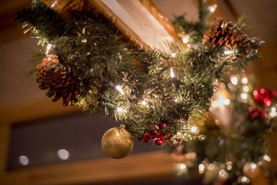 Boston: Cocoa and Carols Holiday Cruise - Who will enjoy this cruise most?