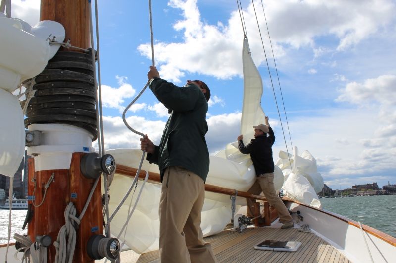 Boston: Downtown Harbor Sailing Cruise - What the Crew Adds to the Trip