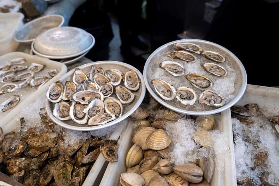 Boston: Guided Seafood Tasting and History Tour - Walking the Harborwalk and South Boston waterfront