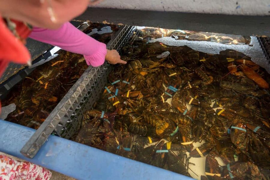 Boston: Guided Seafood Tasting and History Tour - Fort Point Channel and the final seafood stop
