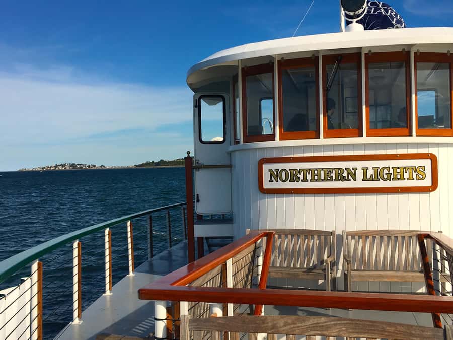 Boston Harbor Fall Foliage Weekend Brunch Cruise - Wildlife along the route