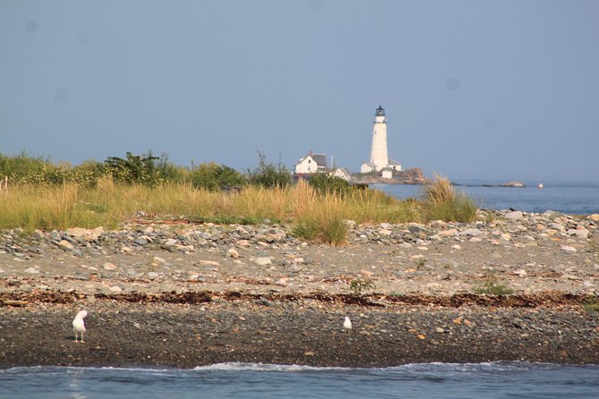 Boston Harbor Sightseeing Cruise - Choosing between the cabin, upper deck, and bow