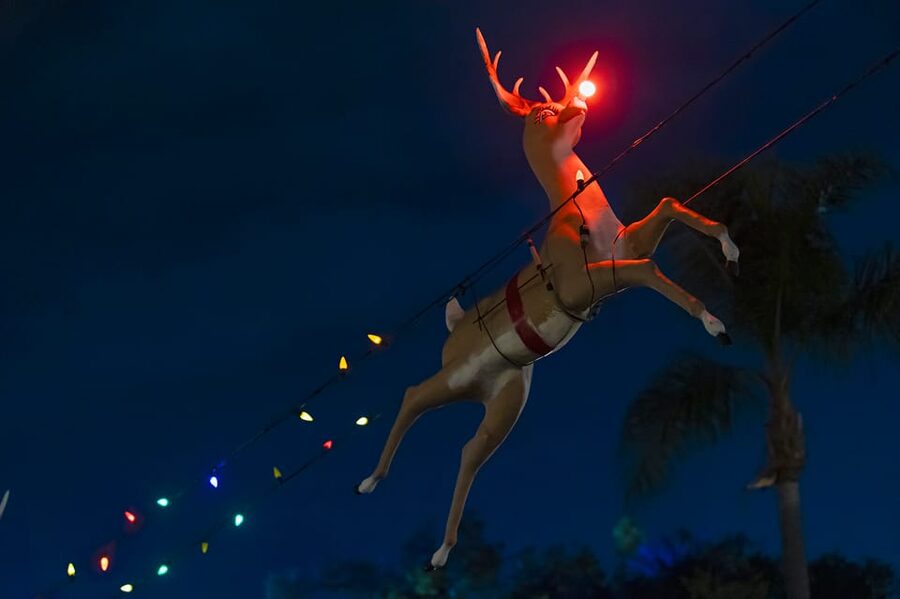 Boston: Holiday Sights and Festive Nights Trolley Tour - Old State House, Quincy Market, and Faneuil Hall