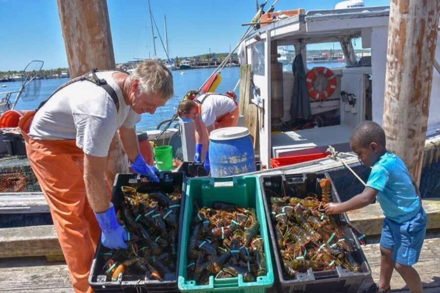 Boston: Kennebunkport Day Trip with Optional Lobster Tour - Who Should Book This Day Trip