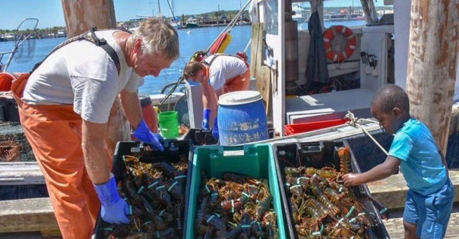 Boston: Kennebunkport Day Trip with Optional Lobster Tour - Kennebunkport, With Time to Look Around