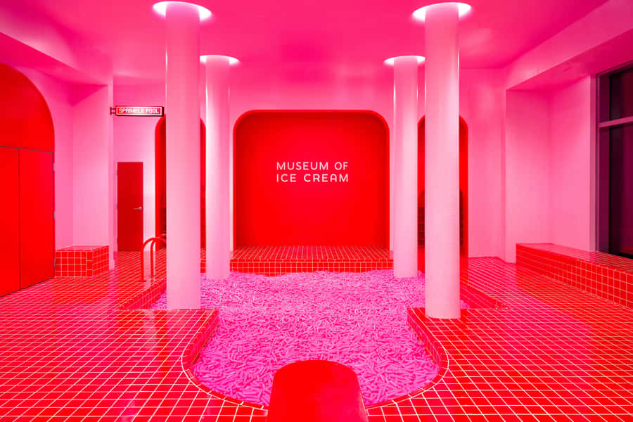 Boston: Museum of Ice Cream Entry Ticket - The Sprinkle Pool and the practical side of playing