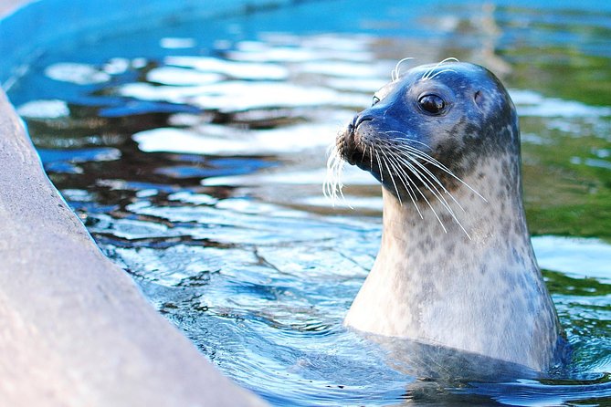 Boston Pass: 40+ Things To Do - Includes Franklin Park Zoo - Historic Boston, From Paul Revere to Old Ironsides