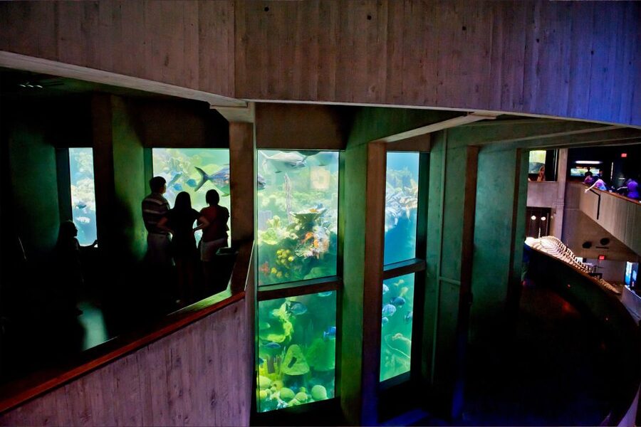 Boston Pass: Save up to 50% - Includes Franklin Park Zoo - Planning a first day around View Boston and downtown sights