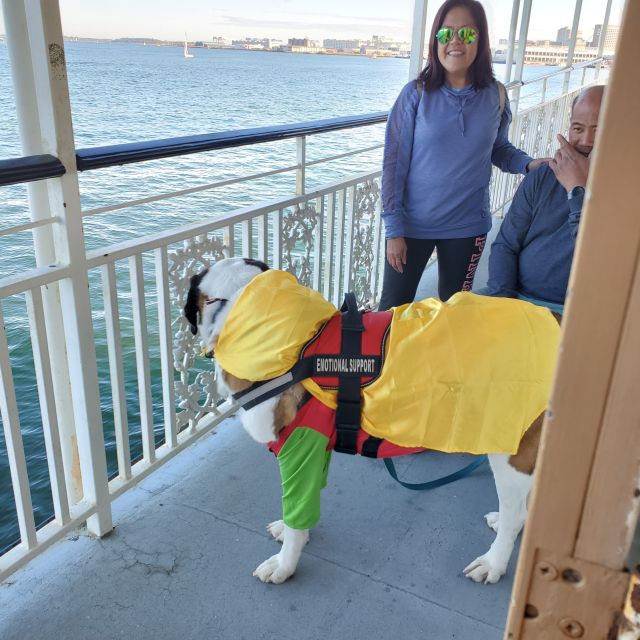 Boston: Scenic Harbor Cruise (Dog-Friendly) - Is $31 a fair price?