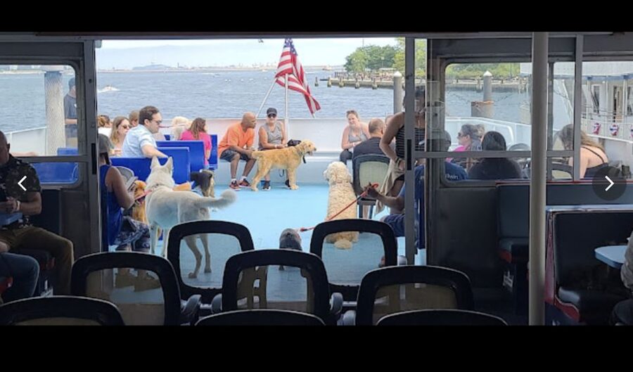 Boston: Scenic Harbor Cruise (Dog-Friendly) - Logan Airport and the working harbor