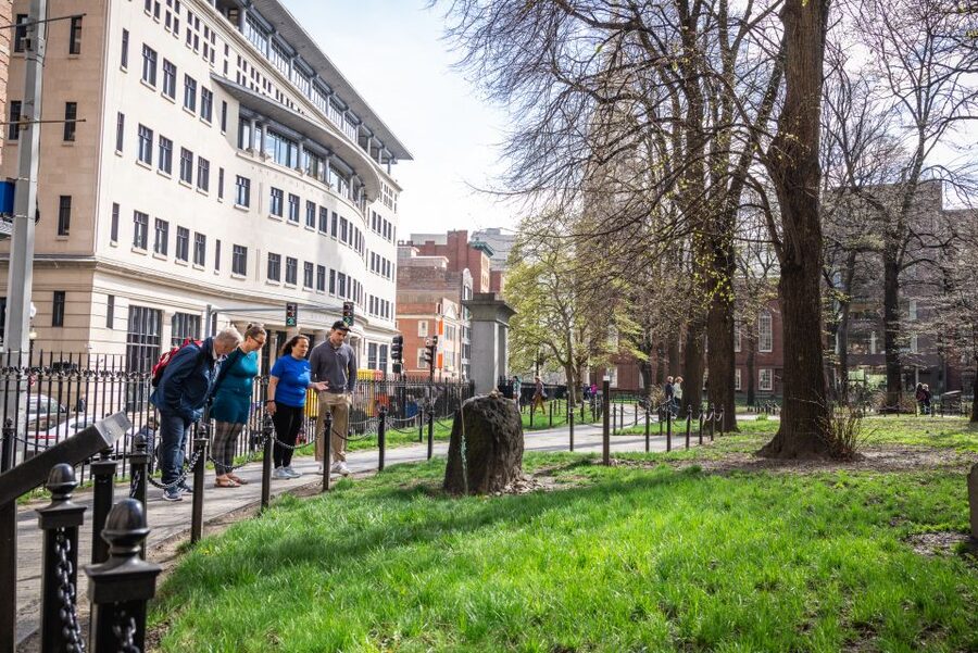 Boston: Seafood, History & Highlights Day Tour - Starting at Independence Wharf and Boston Harbor
