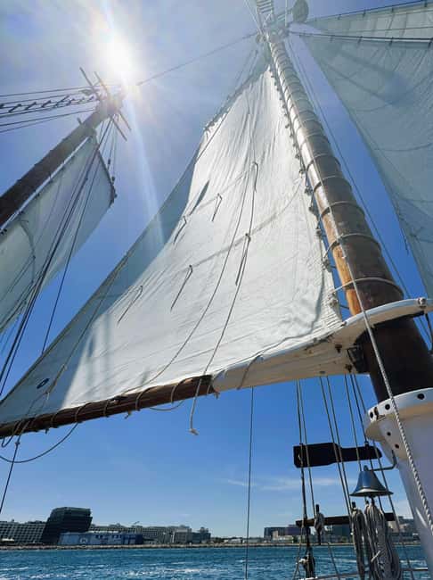 Boston: Tall Ship Harbor Sail - Sailing, engine time, and the role of the wind