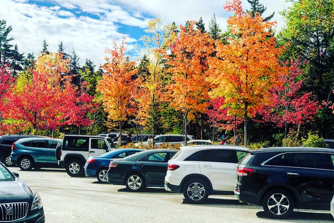 Boston to New Hampshire Fall Foliage White Mountains Day Trip - North Conway gives you 90 minutes to reset
