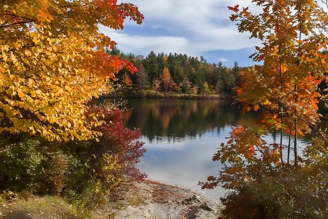 Boston to New Hampshire Fall Foliage White Mountains Day Trip - What makes the guiding valuable
