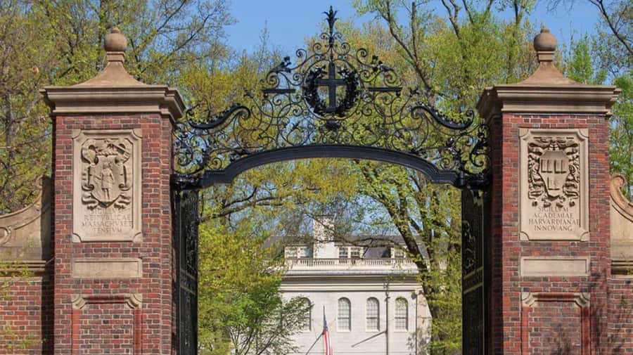 Cambridge, Massachusetts: MIT and Harvard Walking Tour - Why this tour works as a Cambridge introduction