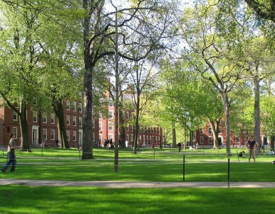 Cambridge, Massachusetts: MIT and Harvard Walking Tour - Crossing Harvard Bridge and reading the Smoot markings
