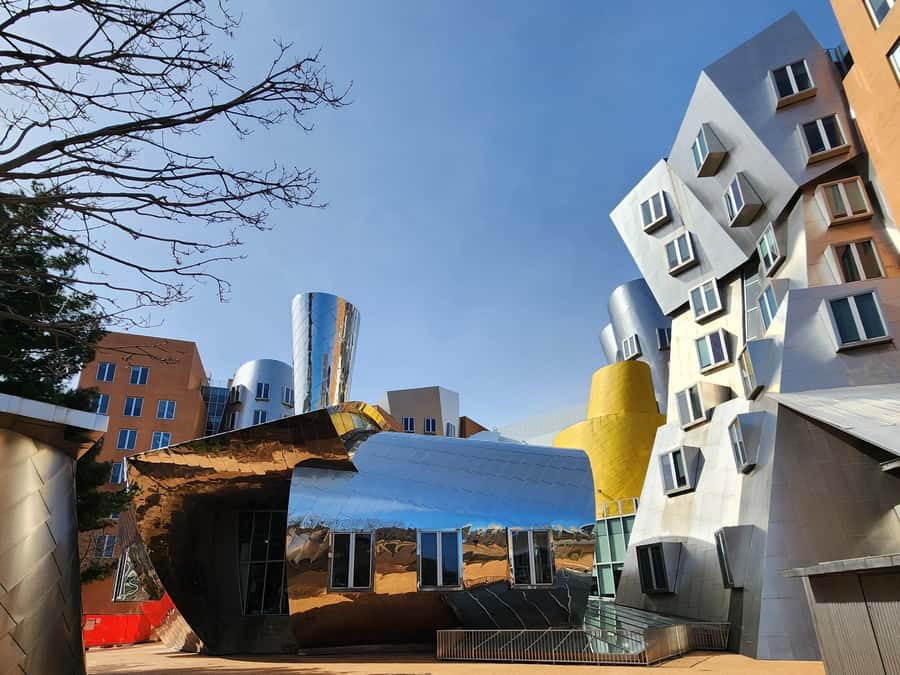 Cambridge, Massachusetts: MIT and Harvard Walking Tour - Taking the subway from MIT to Harvard