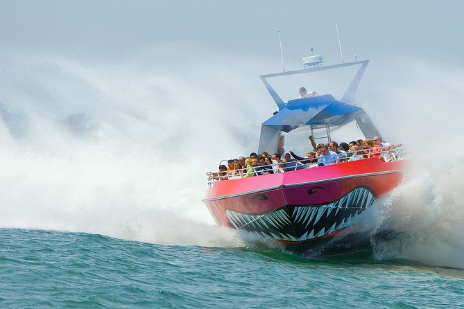 City Cruises Boston Codzilla High-Speed Thrill Boat Ride - Key points to know before you book