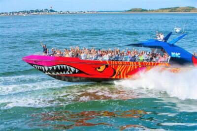 City Cruises Boston Codzilla High-Speed Thrill Boat Ride