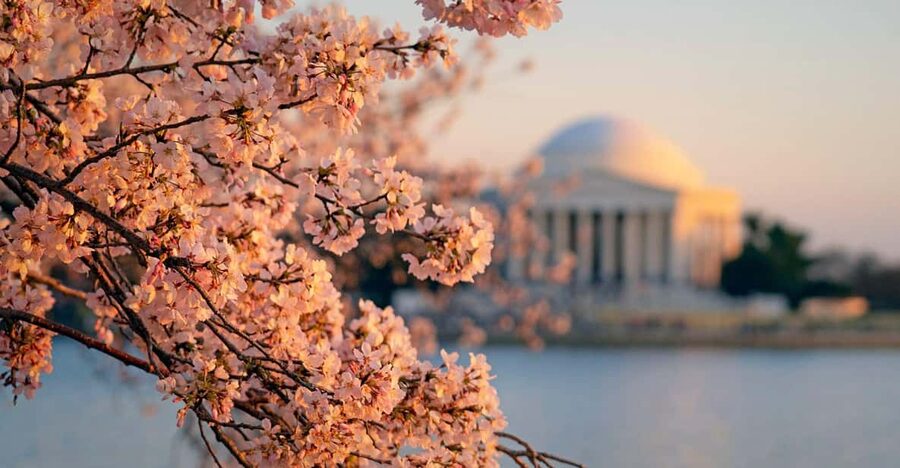 From Boston: 4-Day Tour to New York, D.C.&Niagara Falls - A four-day route built for first impressions