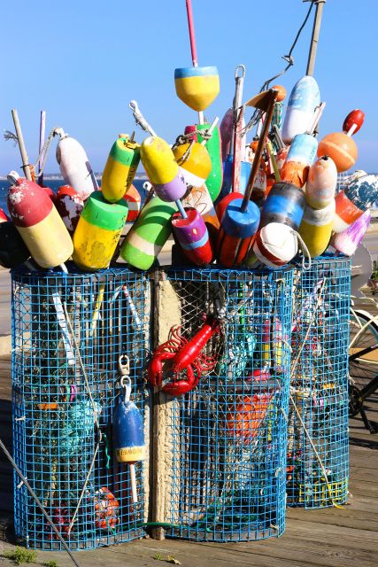 From Boston: Cape Cod and Plymouth Day Tour - Is the $159 price fair?