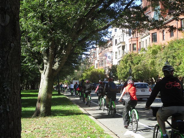 Full Day Bike Rental - Key points to know before you book