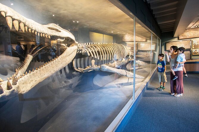 Go City: Boston Explorer Pass - Choose 2, 3, 4 or 5 Attractions - Who Should Buy This Pass?