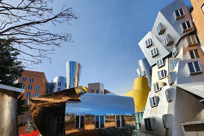 Illustrious Schools: Group Tour of MIT And Harvard - Widener Library and Harvard’s older traditions
