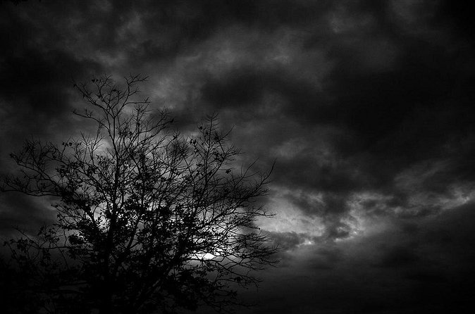 Mysteries and Murders of Salem Guided Night-Time Walking Tour - The Gardner Pingree House and its haunted past