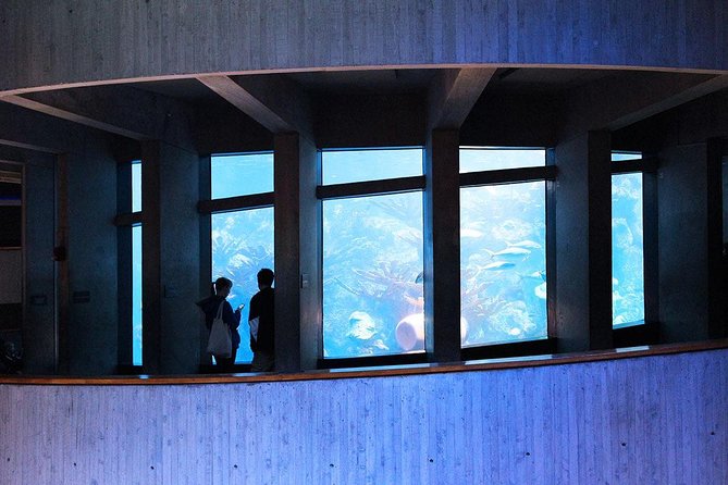 New England Aquarium Admission Ticket in Boston - The Giant Ocean Tank gives your visit a clear center