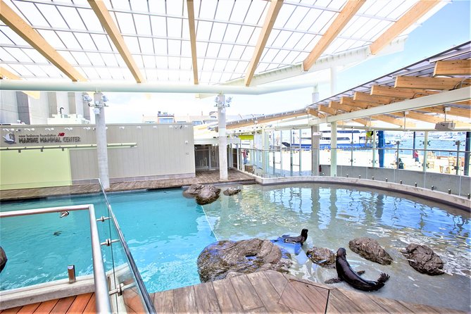 New England Aquarium Admission Ticket in Boston - Touch tanks provide the most hands-on moment
