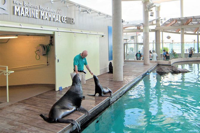New England Aquarium Admission Ticket in Boston - Myrtle the green sea turtle is worth slowing down for