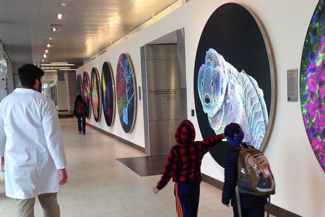 Public Innovation Trail Tour in Cambridge - How the 90-minute route feels on foot