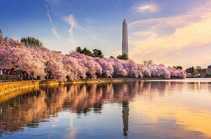 Washington D.C. Cherry Blossom,Baltimore 3-Day Tour from Boston - What the $499 price really covers
